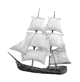 Eagle Wing b&w 1.png