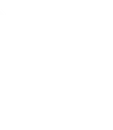 1774654415424-flash.png